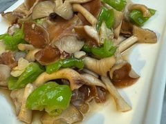 青椒炒野生香蕈-蔼若春.传承三十年云南菜(金碧公园店)