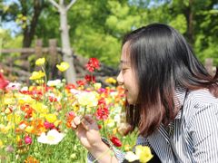 -上海鲜花港