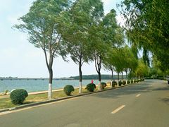 景点-丁香湖公园