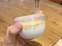 -油梨树 AVOCADO TREE(亮马桥店)