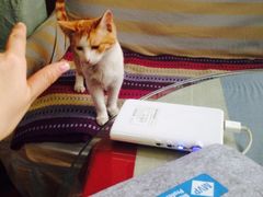 iphone_upload_pic-Sirena海妖日咖夜酒