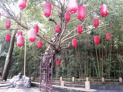 景点-东部华侨城
