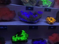 -湖南省地质博物馆