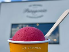 -Patagonia Chocolates(皇后镇店)