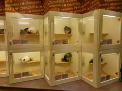 -龙猫仔乐园(惠福东路店)