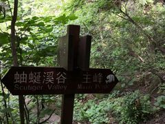 -雾灵西峰