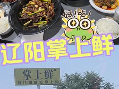 -掌上鲜(南顺城街店)