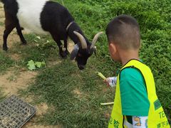 -瑞恩宝感统训练·语言提升·蒙氏托育中心