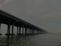 -宝安西湾红树林湿地公园