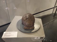 -周口店北京人遗址公园