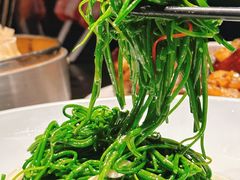 -蒙料·手把肉(望京店)