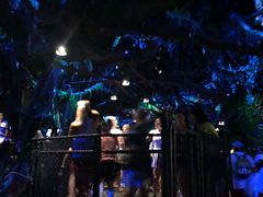 -奥兰多迪士尼动物王国乐园