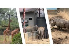 -红山森林动物园