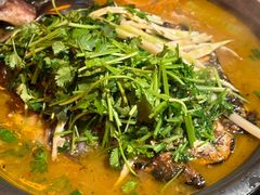 -探鱼·鲜青椒爽麻烤鱼(北京路天河城店)