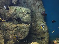 -福州罗源湾海洋世界旅游区