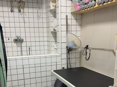 -瑞派宠物医院·犬猫全科·猫友好(宾水西道店)