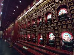 -新加坡佛牙寺龙华院