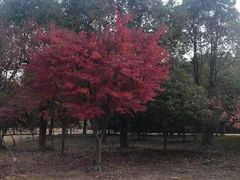 -宝界山林公园