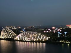 -新加坡摩天观景轮