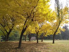 -共青国家森林公园-售票处