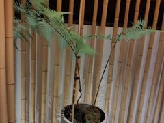 景观位-竹里馆·淮扬菜·功夫茶(老门东店)