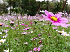 -人民公园(罗湖区)