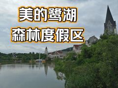 -美的鹭湖森林度假区