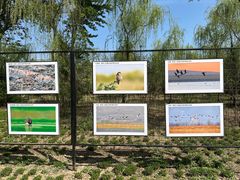 -野鸭湖国家湿地公园