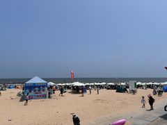 -日照海滨国家森林公园