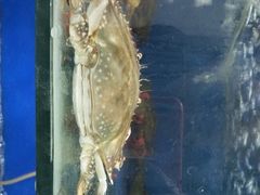 -雅逸居海鲜小厨