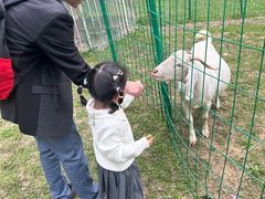 -福建鲤鱼洲酒店