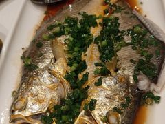 -醉辉皇原味海鲜江南菜(成都大魔方店)