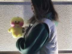 -PAWTOY爪e玩偶店(天兴罗斯福店)