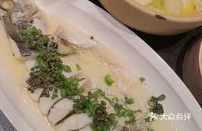 Spring River White Bass