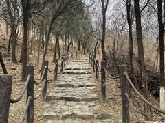 -阳台山自然风景区