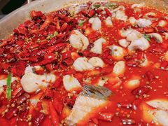 -蜀都丰 川菜·水煮活鱼(万象九宜城店)