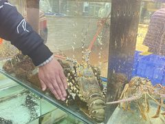 -寻味顺德·南记酒家·传统顺德菜·鱼生(广源路店)