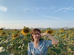 -光明小镇欢乐田园