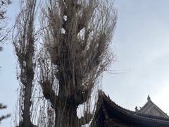 -张掖大佛寺景区