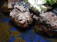 -春天国际影城(中庚漫游城杜比全景声店)