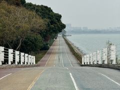 -贡湖湾湿地公园