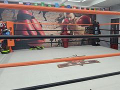 -津武堂散打搏击俱乐部(河西店)