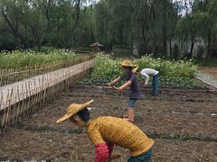 -溱湖国家湿地公园