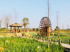 景点-那考河湿地公园