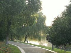 -九里河湿地公园