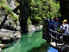 -石台牯牛降景区