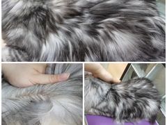 -十年猫舍·猫咪专门店(普陀店)