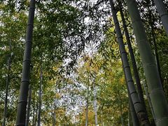 -众神白水涧景区