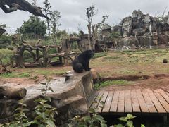 -海南热带野生动植物园