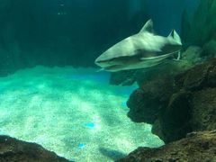 -常州海昌海洋探索馆